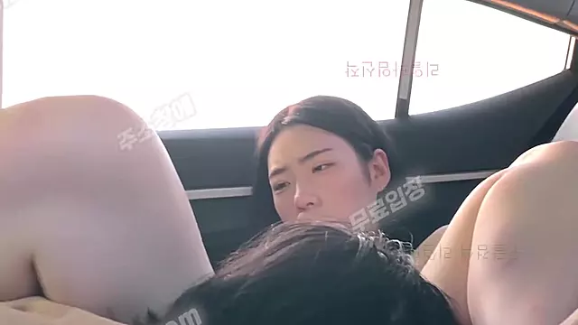 5647 ( + ) 2 Korean YOUB892