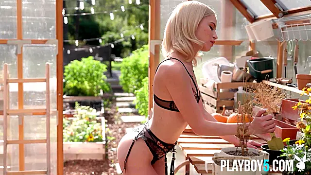Pussy American Besst, Arsch Zu Fotze, Blondes Babe, Blond Solo, Eng Blonde, Kleine Titten Solo