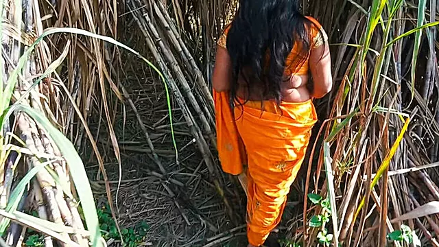 माँ के भोसडे की चुदाई विडीयो, इंडियन बड़े बड़े निप्पल, बडे स्तन मॉ, गधा करने वाली मुंह, जेसा
