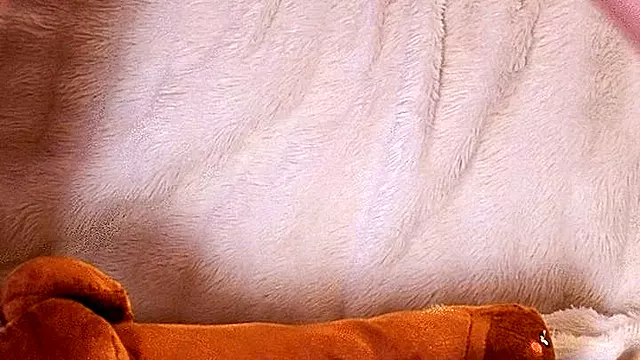 #2 Stepping on a plush dick