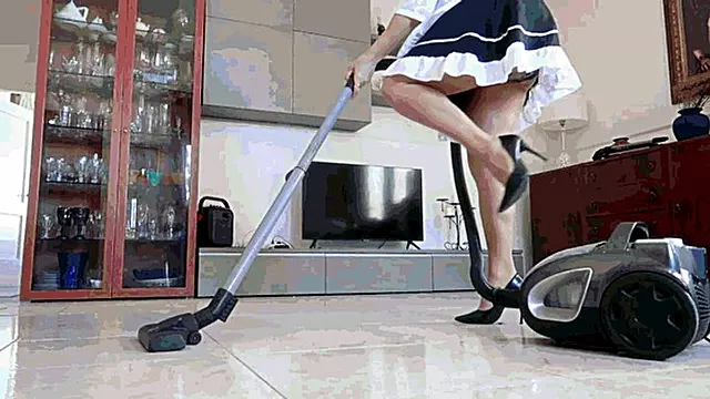 Vacuum Cleaner, Dildo, and Down Jackets WMV