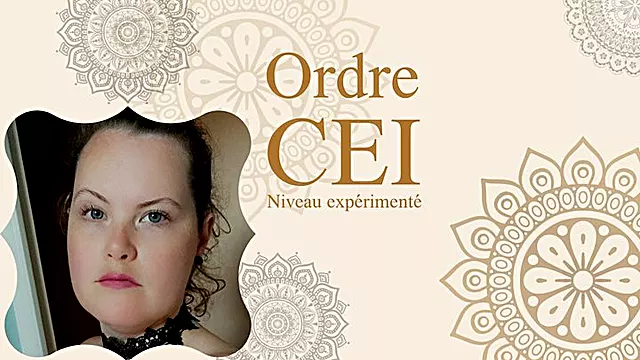 Ordre CEI N 7 - Niveau exp riment