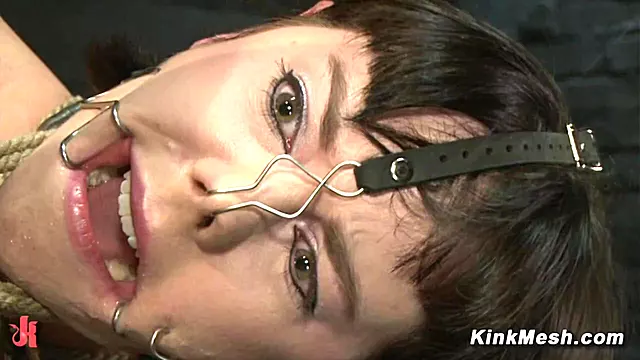 Främling Bdsm, Hårdporr Bdsm, Förnedring Bdsm, Slav Bdsm, Tied Upp Dildo, Träldomen Herravälde S