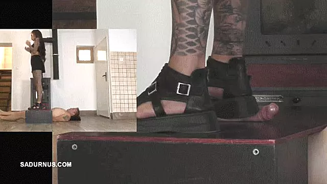 Trample Bold, Pik Og Nosser, Slave Pik, Mistress Slaver, Herskerinde Rygning, Blowjob, Slave Smoking