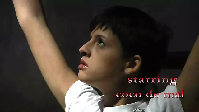 Adolescenti Mari Hardcore, Par Scurt, Tinere Cu Par, Tineri Tate, Tate