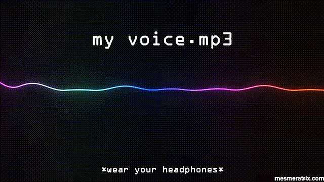 MY VOICE .MP3
