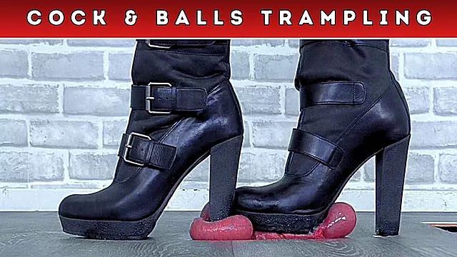 Stomping Your Tiny Cock & Balls Under My Miss Sixty Biker Boots (D85) - Five Clip Bundle - Trampling CBT Cockbox - HUGE Discount!!!!