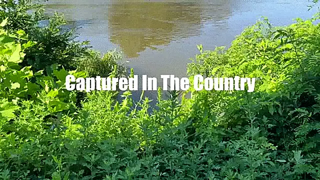 Alba Zevon In: Captured in the Country Bondage Hand Over Mouth Lift Carry Groping WMV