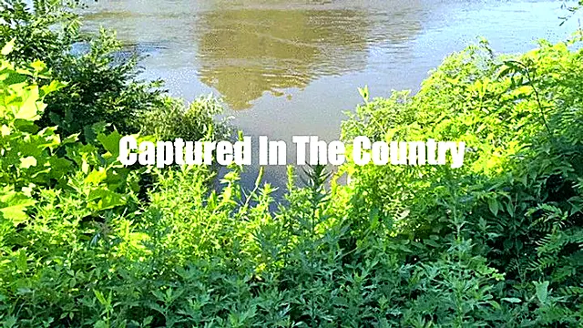 Alba Zevon In: Captured in the Country Bondage Hand Over Mouth Lift Carry Groping