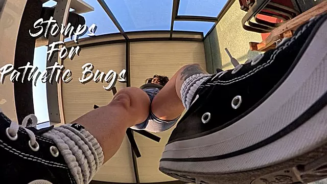 Stomps For Pathetic Bugs (mp4)