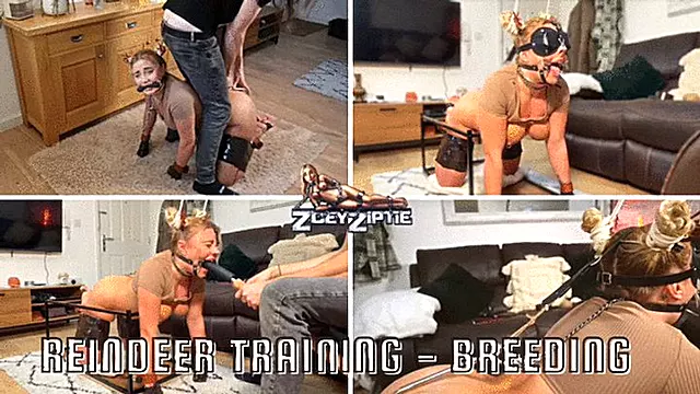Bondage, Amarrada Dildo, Amarrada E Chupada, Não Queria, Vibrador E Mamando, Vibrador, Ela Gosta