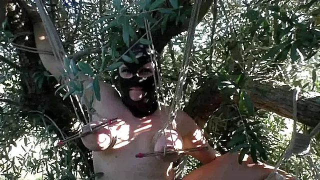Slave Susi tied into an Olive Tree in the public Woods- Full Clip mp4 SD