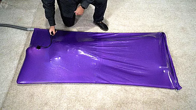 A girl experiences an orgasm in a lilac vacuum bed with an inflatable gag in her mouth