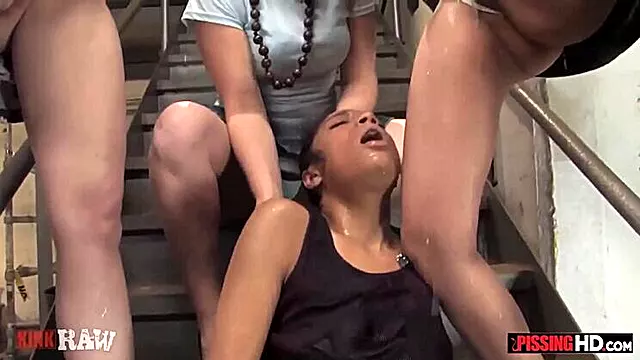 Lesbiene, Pizde, Dusul Auriu, Linge Pantofi Cu Toc, Lezbiene La Dus, Lesbiene Orgii, Masturbari Cu Pipi
