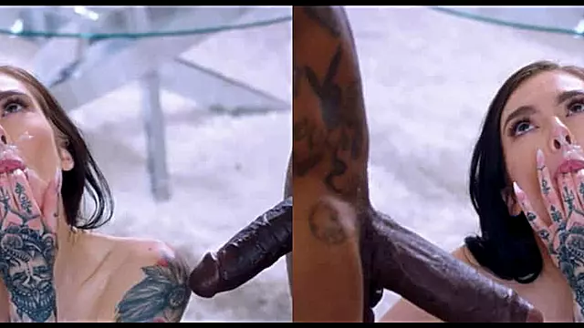 Compilation Ejac, Compil Babes, Babe Noir, Ma Femme Avec Un Black, Pipe Noire, Babe Suck Dick